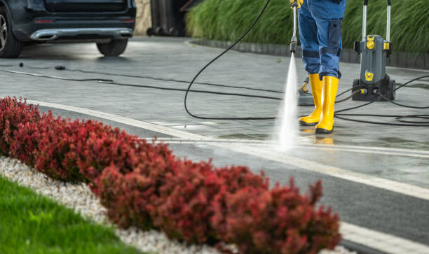 Best Deck Pressure Washing  in Proctor, VT