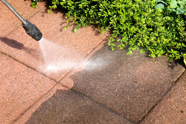 Best Pressure Washing Near Me  in Proctor, VT